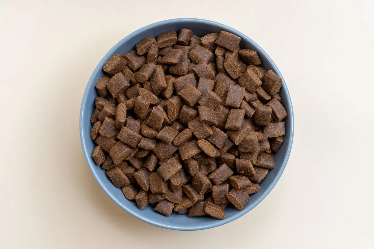 Alimentos para perros